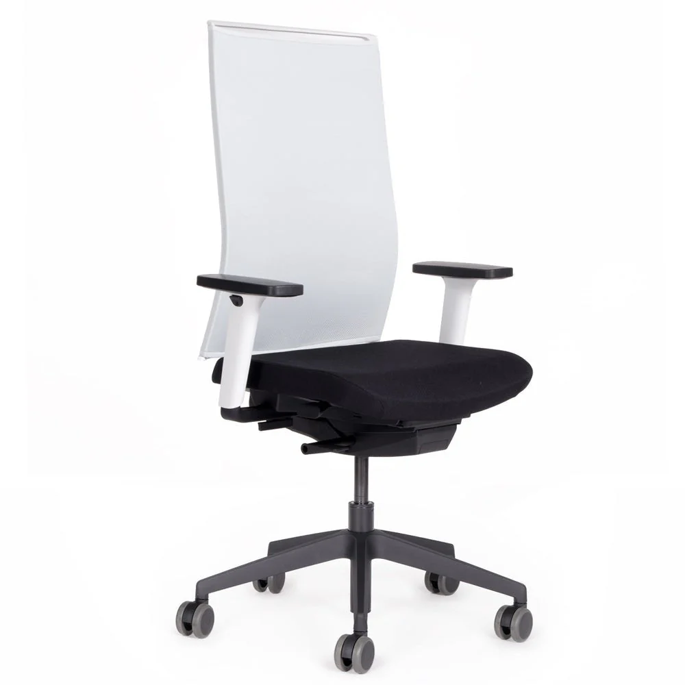 Sedia da ufficio ergonomica con schienale in rete lento Agilis Matrix MT12 EDIZIONE SPECIALE Pure Black