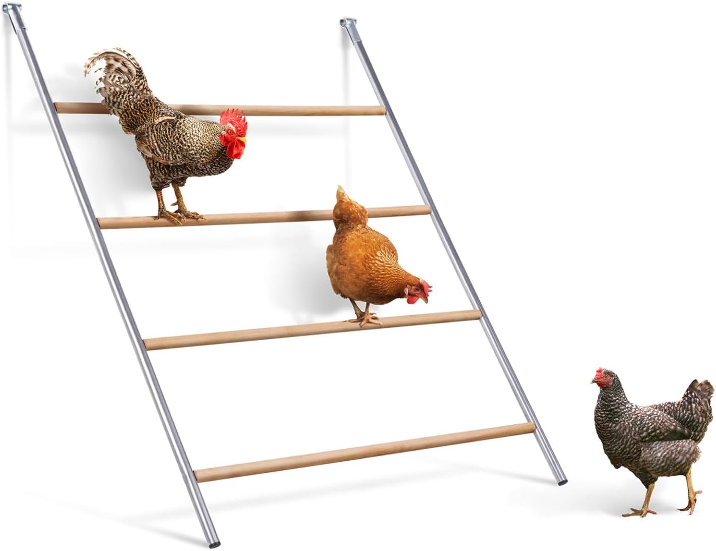 IDMarket - Large 4 Tier Wooden Hen Perch for Enclosures