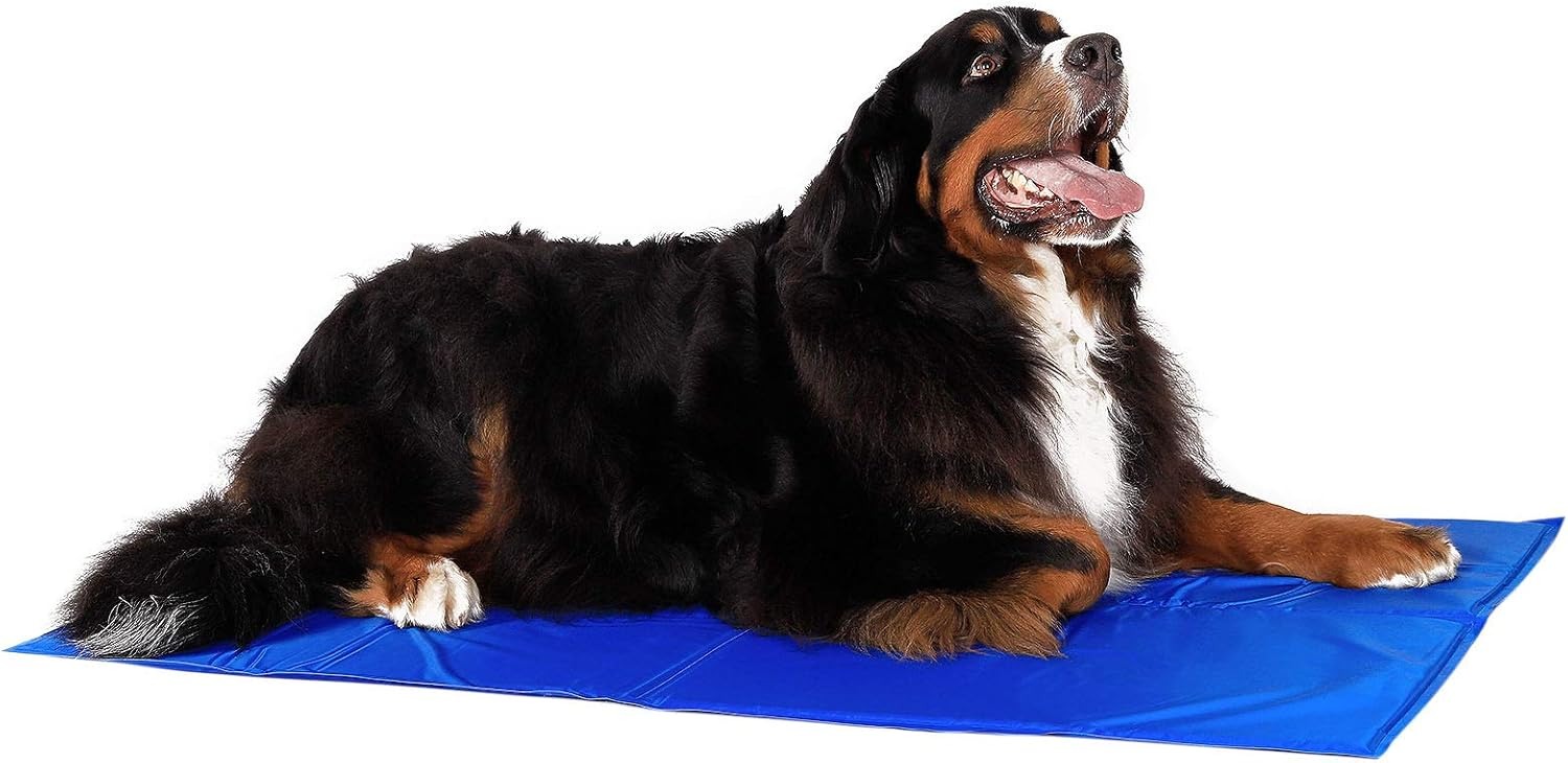 lionto Tappetino refrigerante per Animali Domestici Tappetino rinfrescante per Cani, (XL) 120x80 cm Blu