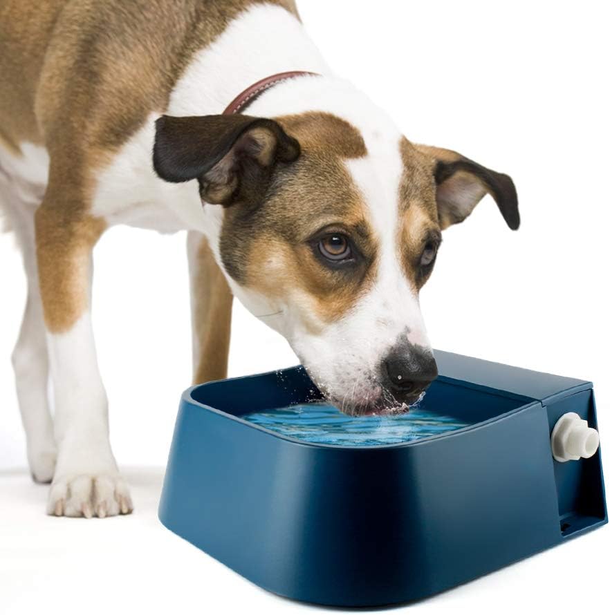 NAMSAN Abbeveratoio per Cani Automatico Abbeveratoio Galleggiante per Animali Domestici Abbeveratoio con Valvola per Cani/Gatti/Conigli/Pollo (2 L)