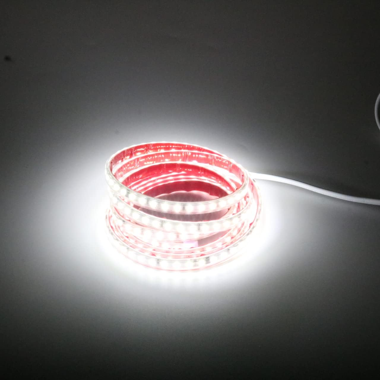 pcning 10M Striscia LED Adesive 220V IP67 Impermeabile 6000K Bianco Freddo con Interruttore (Bianco Freddo, 10.00)