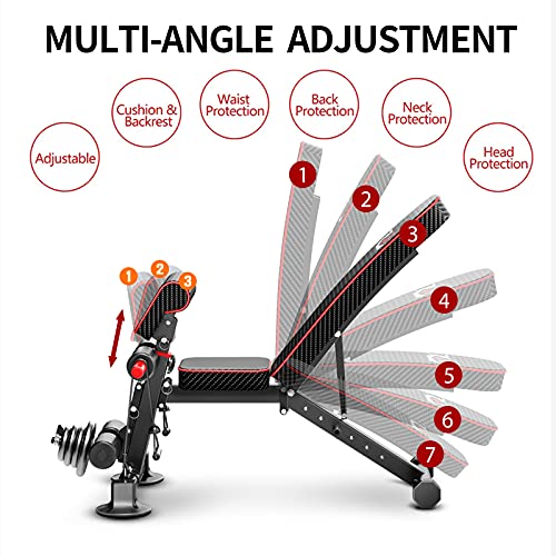 Panca per pesi regolabile, panca multiuso per allenamento di tutto il corpo, panca pieghevole per esercizi di inclinazione/inclinazione/declino, panca multiuso per palestra domestica (DZ) : Amazon.it: Sport e tempo libero