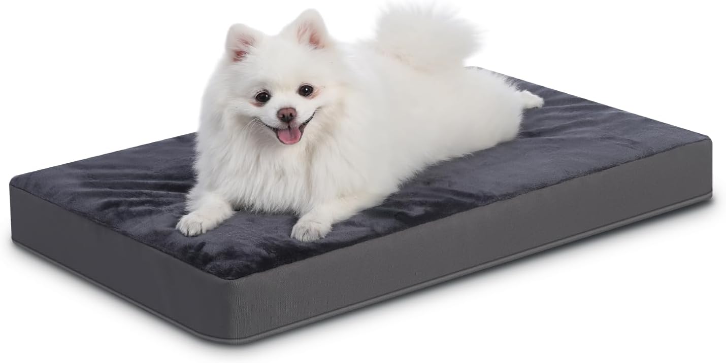 Favodormir Cuccia Cane Interno Taglia Grande Sfoderabile e Lavabile, Ortopedica Cuscino Letto per Cani Base Antiscivolo Materassino Cane, Grigio Scuro, 104x68x8cm