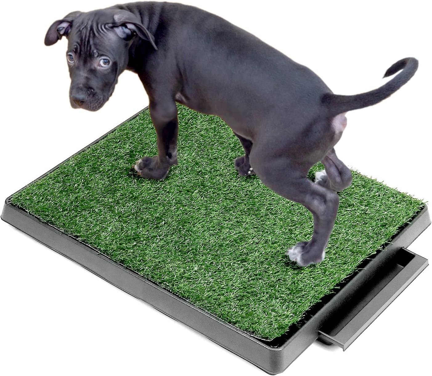 QWORK® 76 x 51 cm Toilette Cani con Erba Sintetica, Facile da Pulire, per Cuccioli e Cani Anziani, per Casa ed Esterni