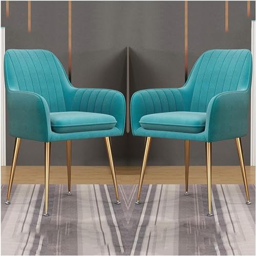 YHKJLYH Set di 2 Sedie da Cucina retrò Sedile in Velluto Gambe in Metallo Poltrona con Schienale e Sedile Imbottito Sedie da Pranzo Sedie ad Angolo per Soggiorno Sedie per Reception (Colore : Azzurr : Amazon.it: Casa e cucina