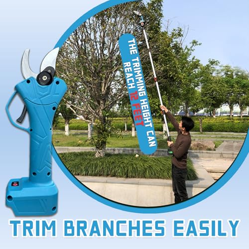 Cesoia da Potatura Elettrica 3 In 1 a Batteria Kit con Motosega Senza Spazzole da 6 Pollici, Asta di Prolunga da 2 M, 2 Batterie e Borsa per Riporre Gli Attrezzi per la Potatura del Giardino di Alberi : Amazon.it: Giardino e giardinaggio