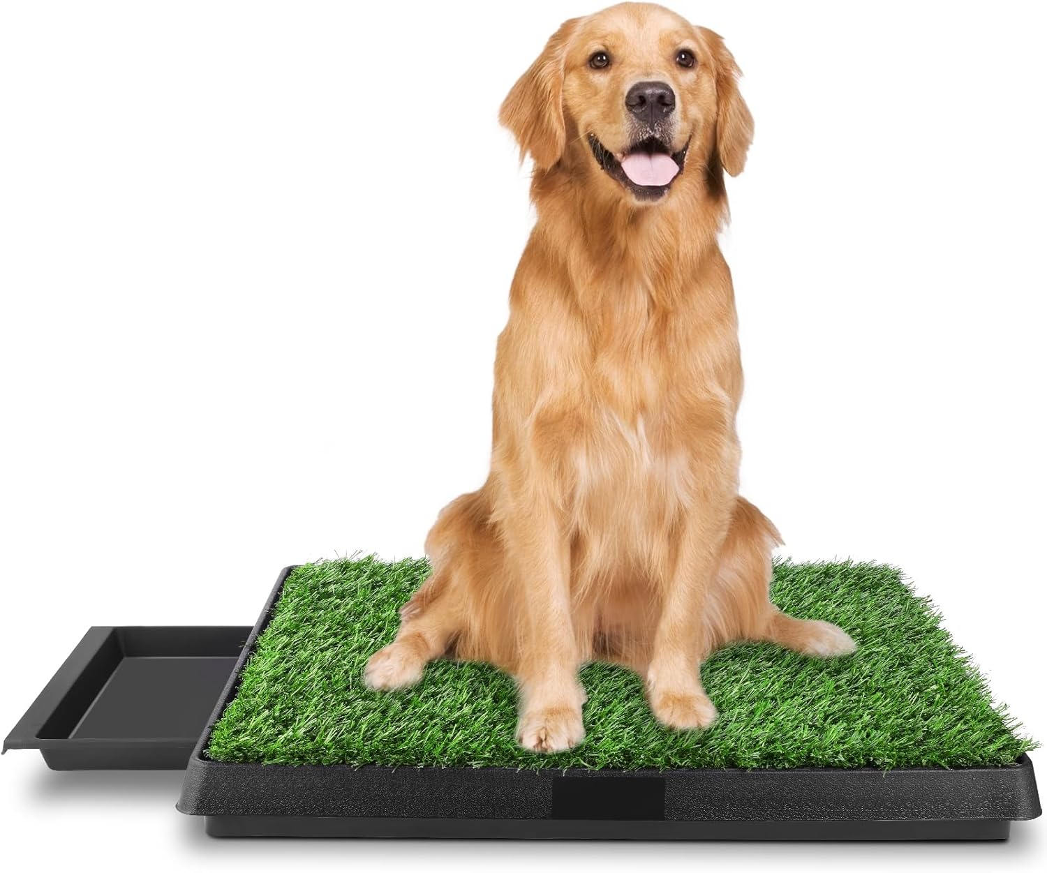 Lettiera per cani 63 x 50 cm, con struttura a tre livelli e erba artificiale, adatta per cani di piccola taglia e anziani, comportamento di allenamento