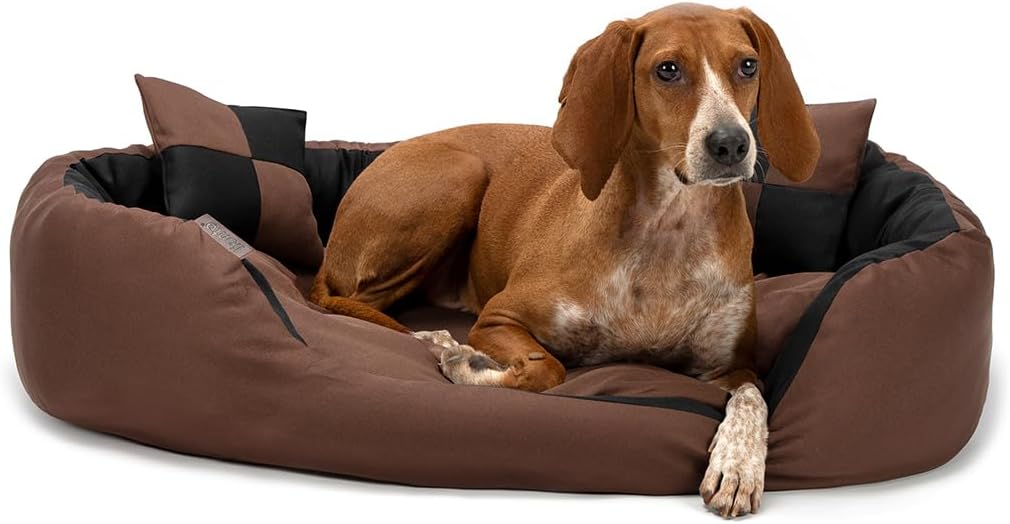 lionto 4 in 1 Dog Bed, (S) 65 x 50 cm Black/Grey