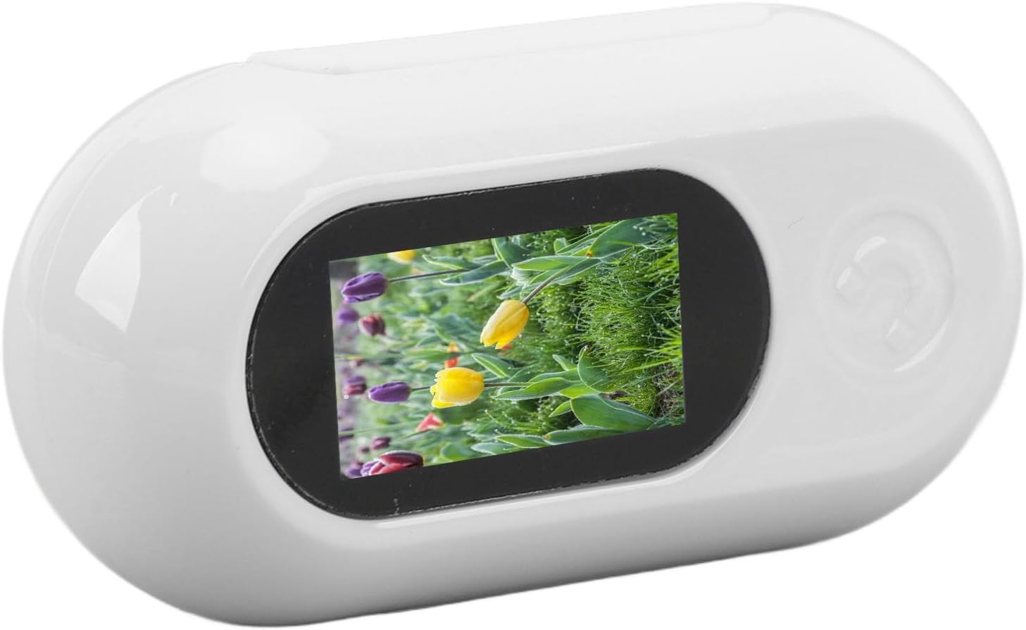 SENECESLI Telecamera per Collare per Gatti 1080P, Telecamera per Animali HD, Mini Telecamera D'azione per Registrazioni Video, Telecamera per Collare per Cani per Animali Domestici, (128GB)