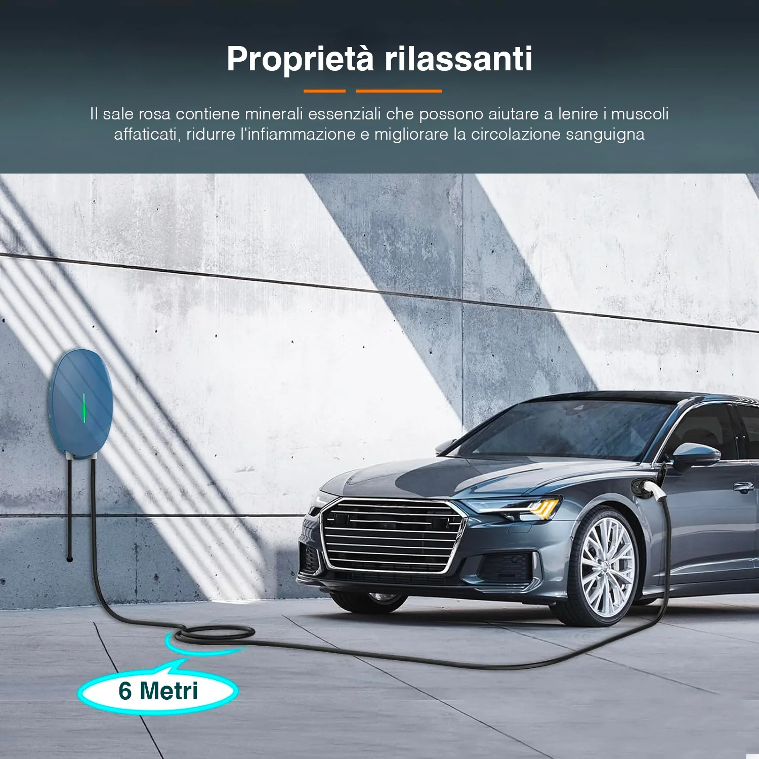 Stazione Di Ricarica Portatile Per Veicoli Elettrici Con Custodia 6-16a 5m