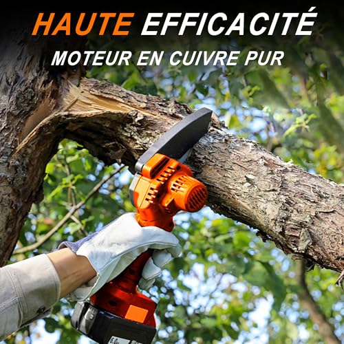 【2 In 1】 Sega Di Sega Senza Fili 21 V E Mini Troncaonosacon Corsa Massima Di 6 Piedi Per Tagliare I Rami Elagati StrumentiDegiardinieri Elettrici : Amazon.it: Giardino e giardinaggio