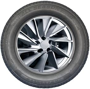 Gomme 4 stagioni 195 60 R15 88H AUTOGREEN ALL SEASON M+S