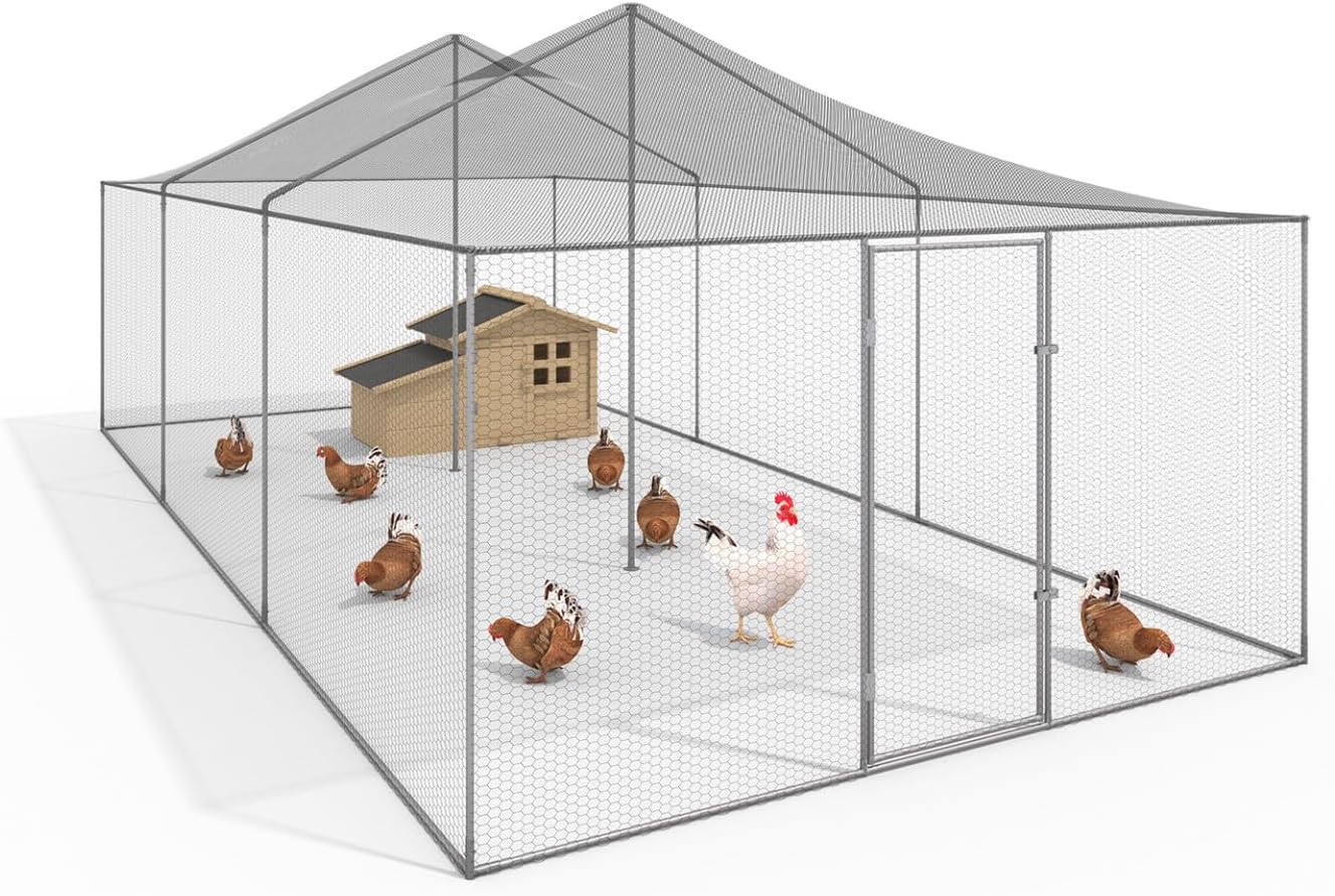 IDMarket - Voliera 18 m虏 Parco a rete 6 x 3 M recinto pollaio per Animali da Bassa Corte