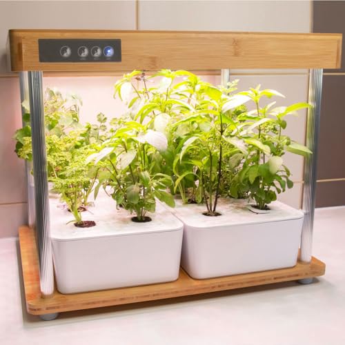 Bioponis   Bamboo 2   Orto da Interno Idroponica per Piante Aromatiche   16 Piazzole di Coltivazione : Amazon.it: Giardino e giardinaggio