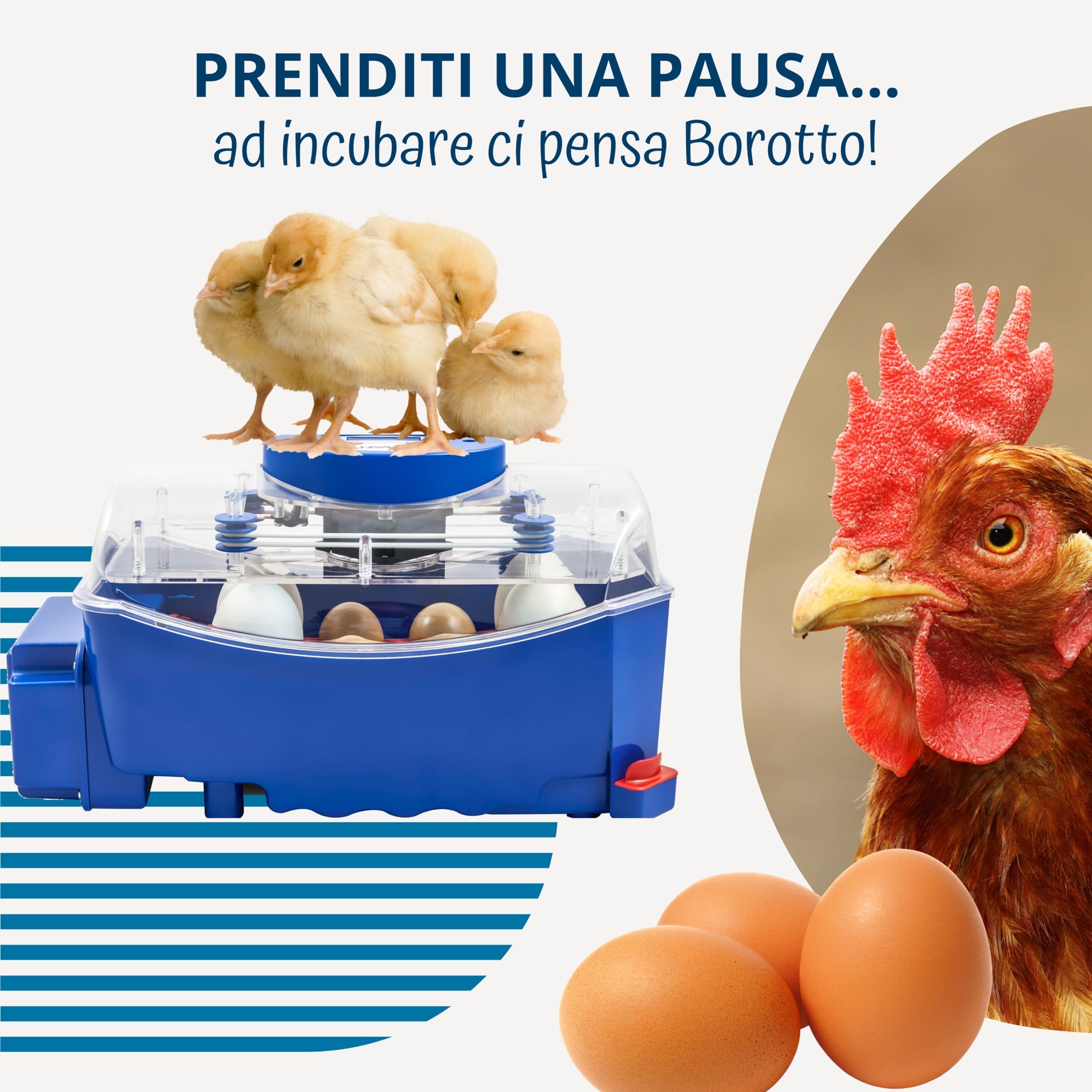Borotto Real 24 | Incubatrice per Uova Automatica Professionale Brevettata per 24 Uova o 96 Piccole con Girauova Automatico e Controllo della Temperatura | Made in Italy