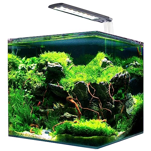 AMTRA NANOTANK SYSTEM 60   Acquario in vetro completo di luce LED e filtro / cm 38x38x43 / 60 Litri : Amazon.it