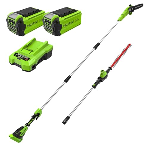 Greenworks 40V Sega e Tagliasiepi ad Asta a Batteria 2 in 1, Motore Brushless da 30 cm, Lama a Doppia Azione da 51 cm, Batteria da 2 e Caricabatterie GD40PSHK2x : Amazon.it: Giardino e giardinaggio
