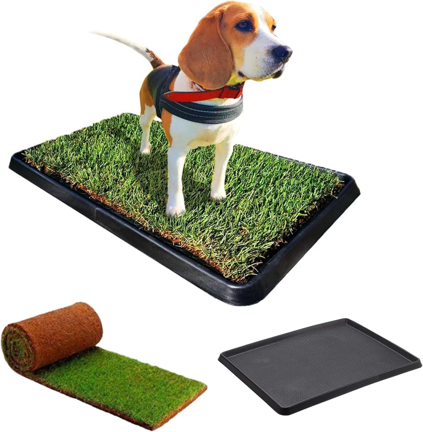 Kit S cane PetZolla - Lettiera per cani in Vera Erba con Vassoio Riutilizzabile 60x40 cm, Traversine cane 100% naturali e atossiche, lettiera cani in vero prato dura fino a 4 Settimane