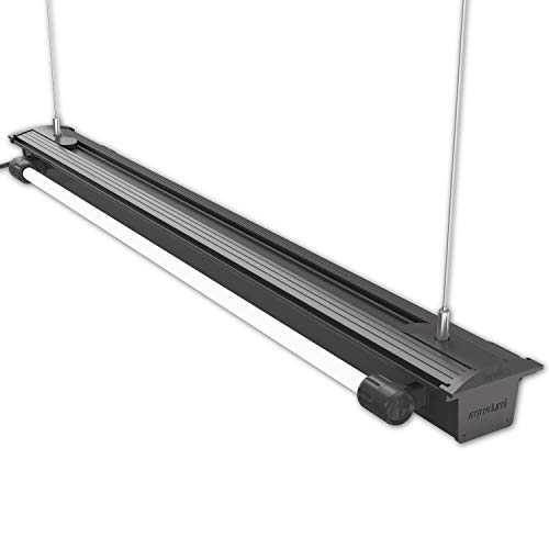 iQuatics Illuminazione per Acquario da 120 cm, con 2 Tubi T5 : Amazon.it: Prodotti per animali domestici