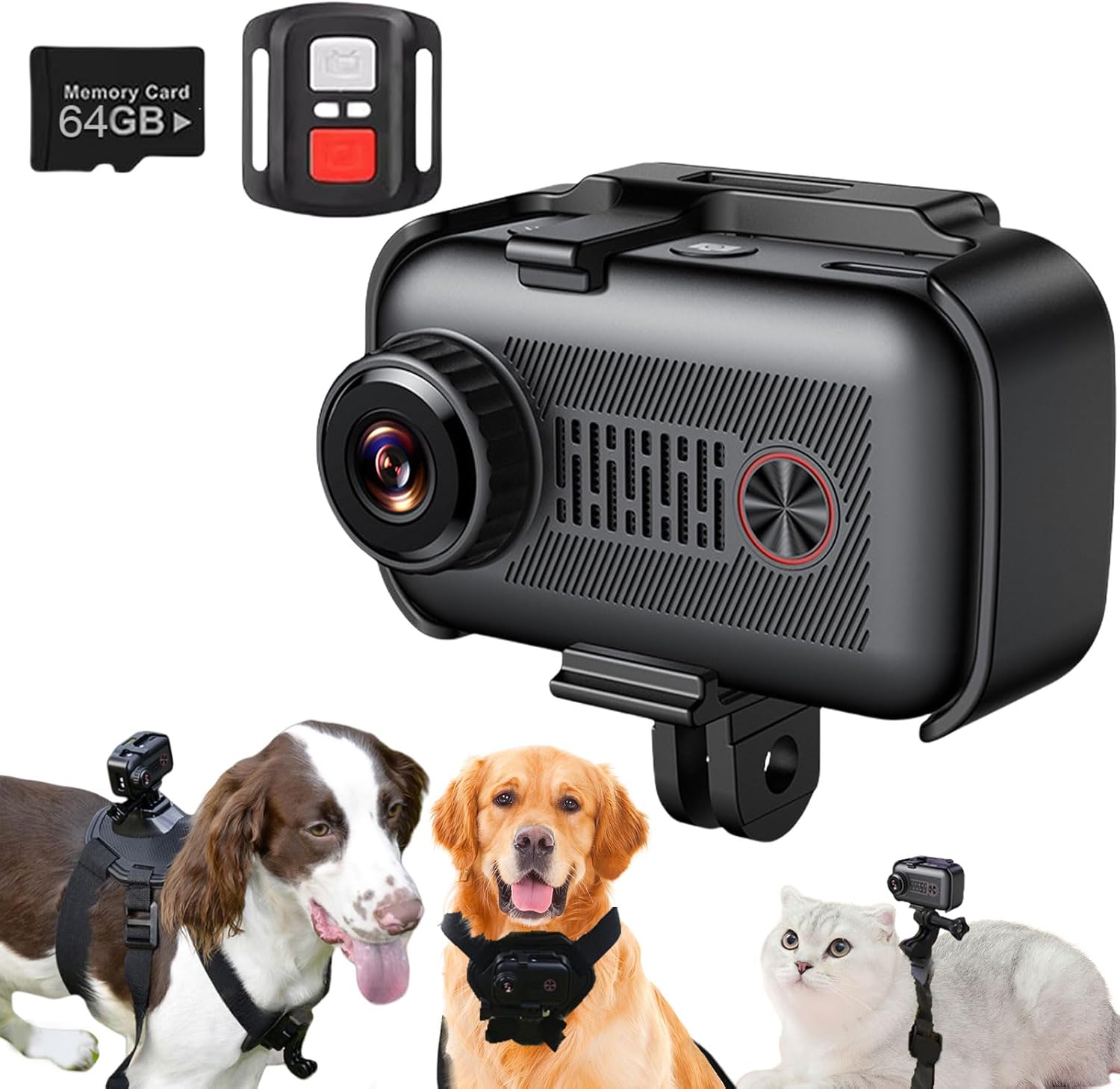 2K Cane Gatto Fotocamera Collare per Cani con scheda SD da 64 GB, senza fili, per Cani Gatti, regalo per interni ed esterni