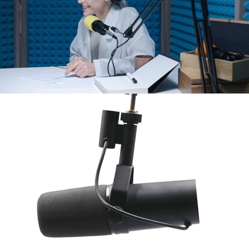 Microfono Broadcast dinamico Frequenza Applicazioni