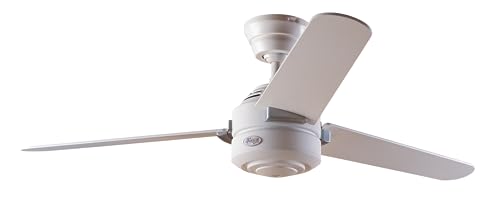 HUNTER FAN Ventilatore da Soffitto Carera 132 cm per Interni, con Catena a Strappo, 3 Pale Intercambiabili Bianco Neve e Acero, Ideale per Estate e Inverno, Modello 24246 : Amazon.it: Prodotti per animali domestici