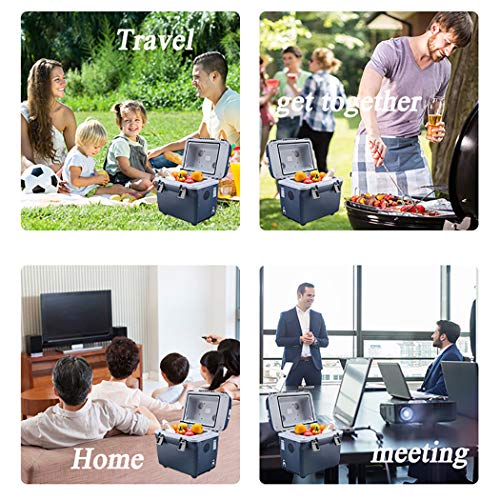 HHXX Mini frigo Bar con, Frigorifero, per Alimenti/Bevande/Cosmetici/insulina/Viaggi/Picnic : Amazon.it: Grandi elettrodomestici