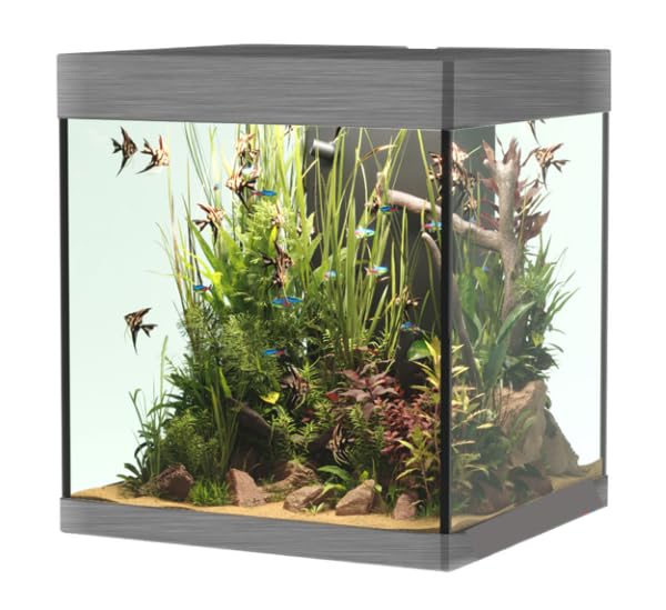 OPERA AQUARIUM 80 STEEL : Amazon.it: Prodotti per animali domestici