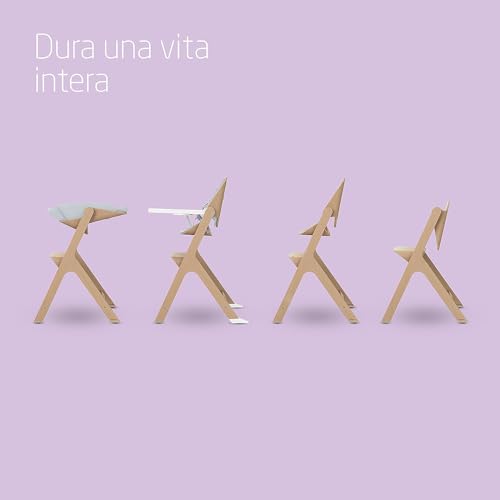 Maxi Cosi Nesta Set Completo Seggiolone Pappa Bimbo 3.5 99 anni   Kit Neonato per un uso dalla nascita, Seggiolone reclinabile e regolabile, Riduttore Imbottito Neonato, 0 99 anni, Beyond Sky Grey : Prima infanzia