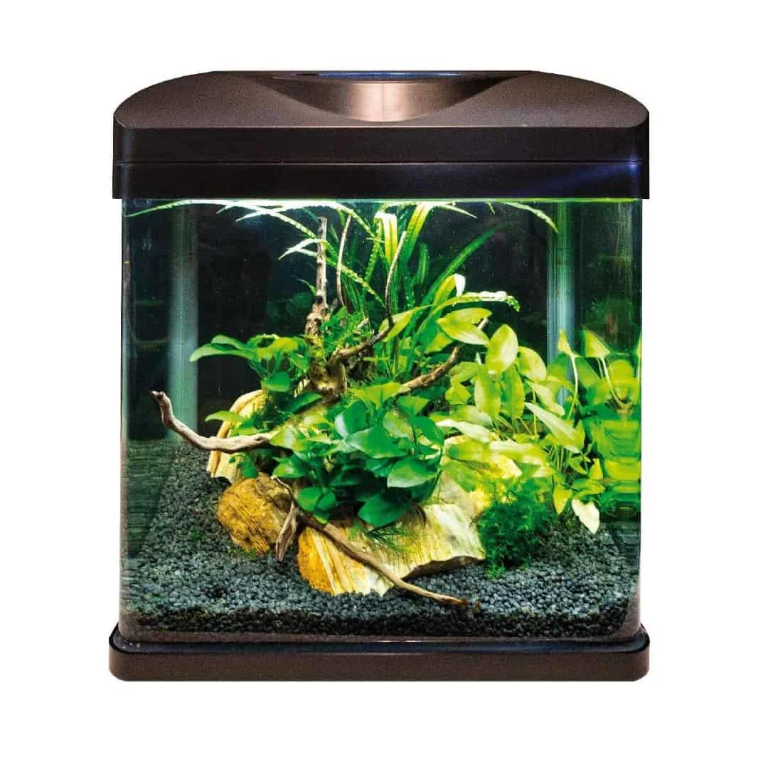 Amtra Laguna Led 40 - Acquario acqua dolce