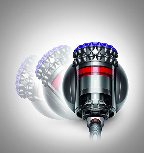 Dyson Big Ball Up top A cilindro Secco Senza sacchetto 1,6 L : Casa e cucina