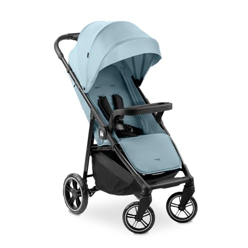 hauck Passeggino Leggero Shop N Care Passeggino Compatto fino a 22Kg, Reclinabile, Passeggino da Viaggio con Portabicchieri e Vassoio Cappotta Parasole (UPF 50 ) e Cesto XL (Fino a 3kg), Dusty Blu : Prima infanzia