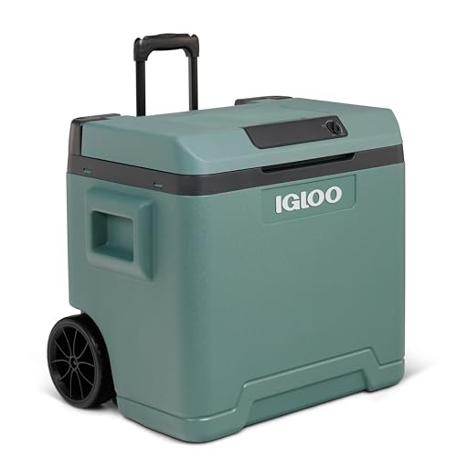 IGLOO IE42 Frigorifero Portatile Elettrico per Auto e Presa Elettrica, 42L, 12V e 230V : Amazon.it: Grandi elettrodomestici