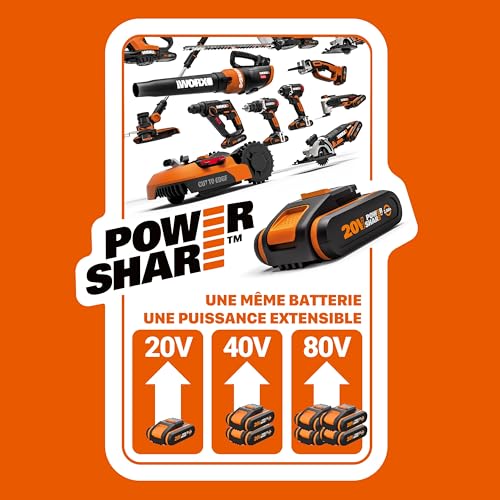 Worx WX550 Seghetto alternativo combinato a batteria 20V,con testa girevole, passa da alternativo a gattuccio in attimo e senza attrezzi : Fai da te