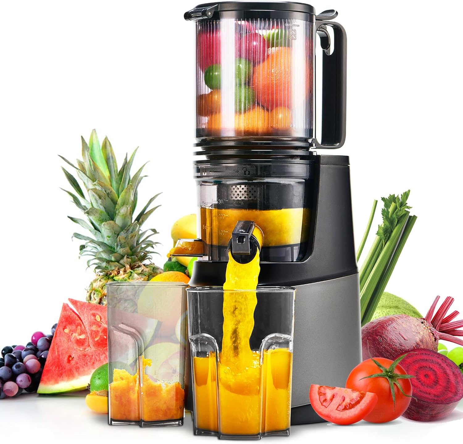 MAISON HUIS Estrattore Frutta e Verdura, Slow Juicer con 13,5cm Extra Grande Contenitore per Frutta e Verdura Intera, Facile da Pulire, Grigio