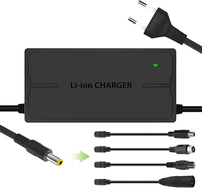 Qintrumiot Caricabatteria Bici elettrica 54,6V 3A caricatore bici elettrica, 48V monopattino caricabatterie,13S 48V carica batteria agli ioni di litio