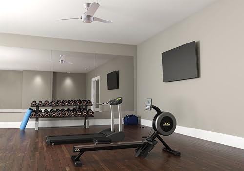 HUNTER FAN Ventilatore da Soffitto Carera 132 cm per Interni, con Catena a Strappo, 3 Pale Intercambiabili Bianco Neve e Acero, Ideale per Estate e Inverno, Modello 24246 : Amazon.it: Prodotti per animali domestici