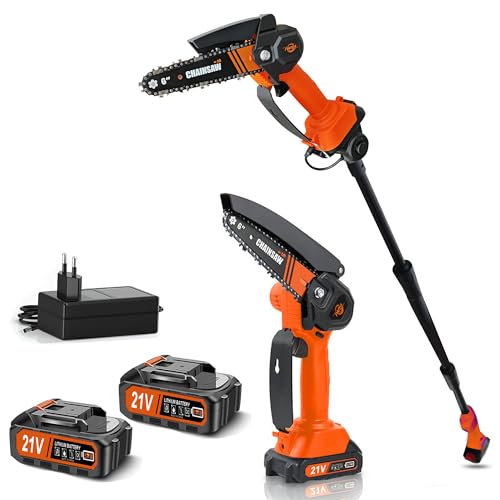 【2 In 1】 Sega Di Sega Senza Fili 21 V E Mini Troncaonosacon Corsa Massima Di 6 Piedi Per Tagliare I Rami Elagati StrumentiDegiardinieri Elettrici : Amazon.it: Giardino e giardinaggio