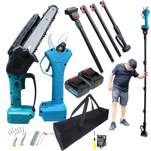 Cesoia da Potatura Elettrica 3 In 1 a Batteria Kit con Motosega Senza Spazzole da 6 Pollici, Asta di Prolunga da 2 M, 2 Batterie e Borsa per Riporre Gli Attrezzi per la Potatura del Giardino di Alberi : Amazon.it: Giardino e giardinaggio