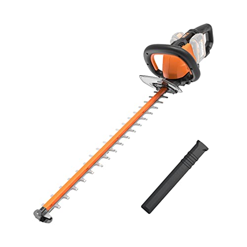 Worx WG284E.9 Tagliasiepi Tosasiepi Elettrico da Giardino a Batteria 40V, Diametro Taglio 27 mm   Solo Corpo macchina & WA3883 caricatore 20V doppio rapido da 2Ah   2Ah  100W : Amazon.it: Giardino e giardinaggio
