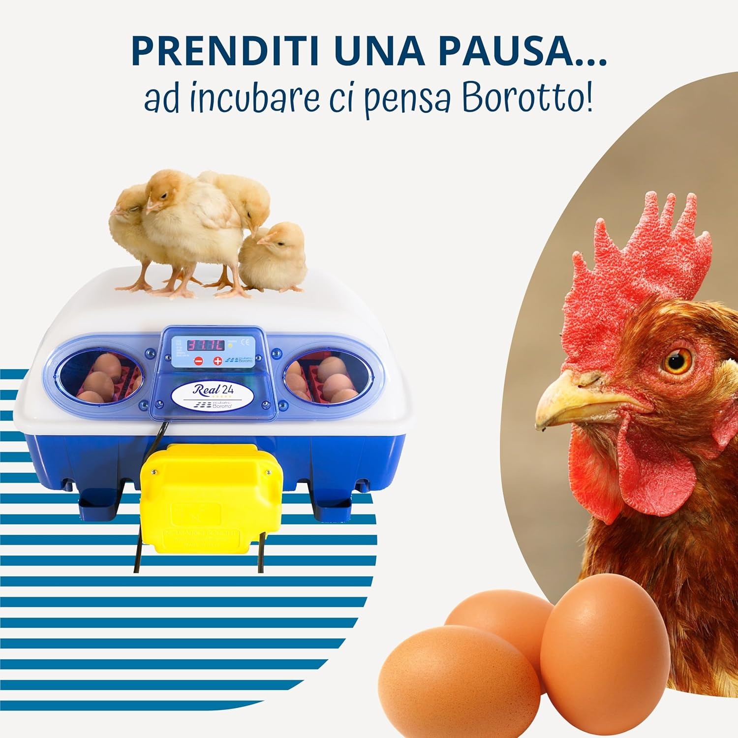Borotto Real 24 | Incubatrice per Uova Automatica Professionale Brevettata per 24 Uova o 96 Piccole con Girauova Automatico e Controllo della Temperatura | Made in Italy