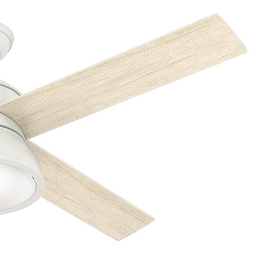 HUNTER FAN Loki, 132 cm, Ventilatore da Soffitto per Interni con Luce e Telecomando, 4 Pale Reversibili in Bianco Fresco, Ideale per l'Estate e l'Inverno, Modello 50423 : Amazon.it: Videogiochi