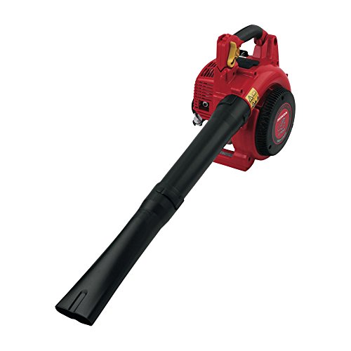 Honda soffiatore HHB 25 super silenzioso con motore a benzina 4 tempi : Giardino e giardinaggio