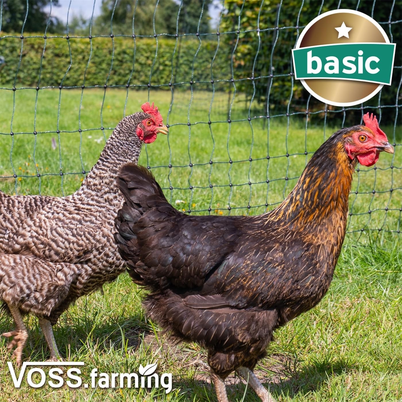 VOSS.farming Rete Non elettrificabile per pollame Basic, 50m di Lunghezza, 112 cm di Altezza, a 2 Punte, Verde, Rete per maiali, capre, agnelli e Animali Domestici