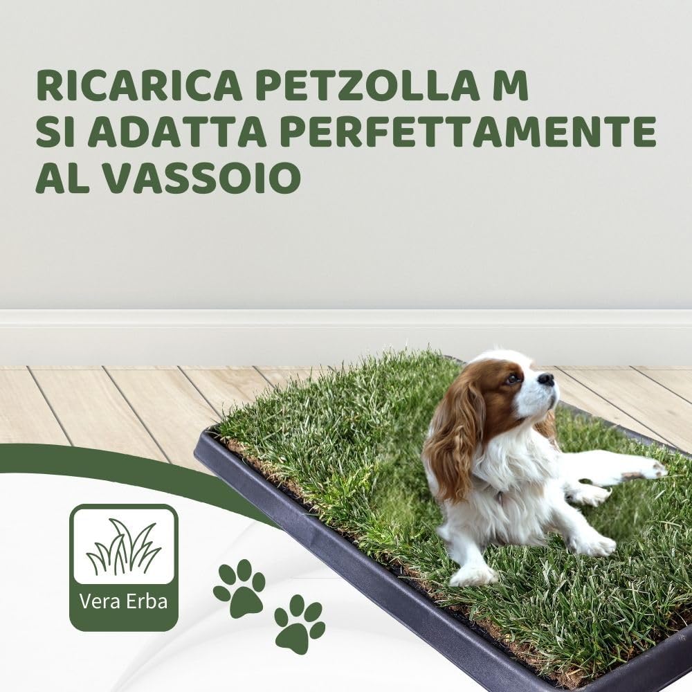 Kit S cane PetZolla - Lettiera per cani in Vera Erba con Vassoio Riutilizzabile 60x40 cm, Traversine cane 100% naturali e atossiche, lettiera cani in vero prato dura fino a 4 Settimane