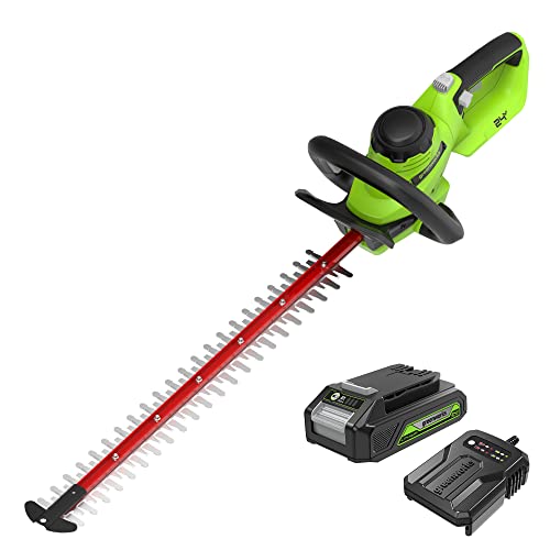 Greenworks Tagliasiepi a Batteria 24 V G24HT56II, Lama Doppia Azione da 56 cm, Taglia Rami e Steli fino a 25.4 mm di Spessore e 3000 SPM con Batteria 2 Ah & Caricabatterie : Amazon.it: Giardino e giardinaggio