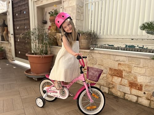 PROMETHEUS BICYCLES bicicletta bambina 4 anni bici per bambini bici bambina 14 pollici bimba con rotelle e freno contropedale Rosa : Sport e tempo libero