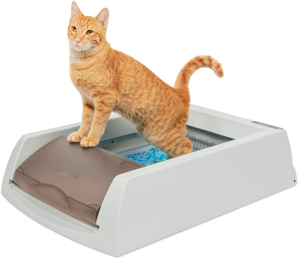 PetSafe - Lettiera per Gatti Autopulente ScoopFree, per Gatti Automatica, Monitor Sanitario Integrato, Igienico, Pulito, Include Lettiera in Silice, Senza Coperchio, Seconda Generazione