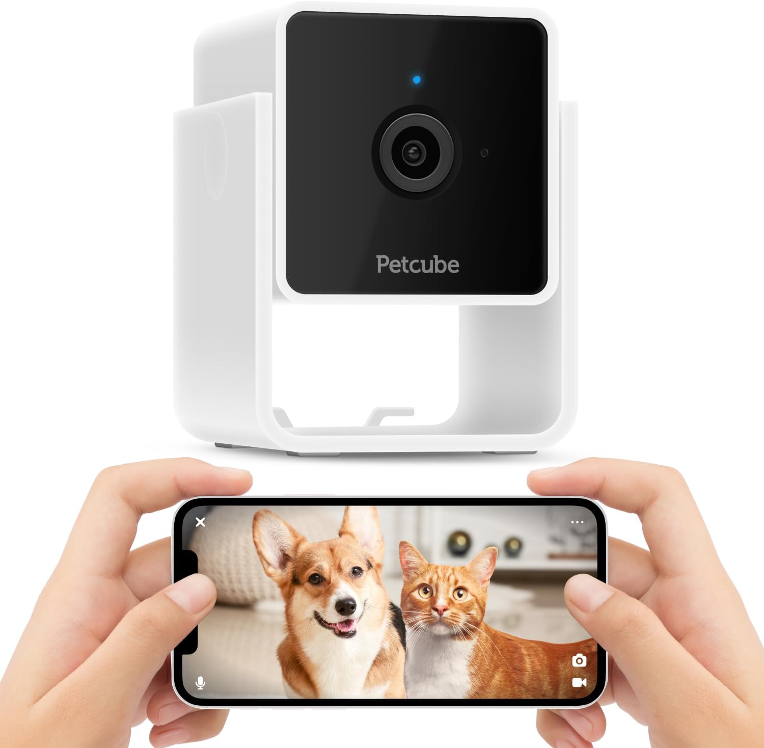 Petcube Cam - Telecamera di sicurezza Wi-Fi per animali domestici con app per telefono, monitor per animali domestici con audio e video a 2 vie, visione notturna, video HD 1080p e avvisi intelligenti