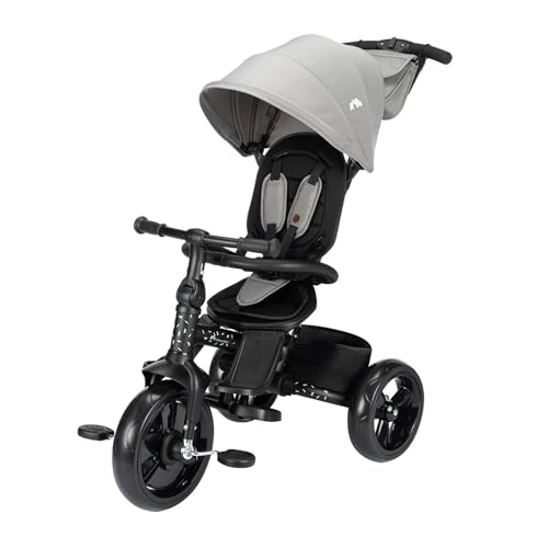 Bebeconfort Windy, Triciclo Bambini con Maniglione, 10 Mesi   4 Anni, 0 25 Kg, Regolabile, Seduta Comoda e Reversibile, Capottina, Pieghevole Chiusura Compatta, Triciclo Bici e Passeggino, Tinted Grey : Prima infanzia